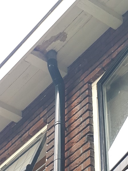  reparatie ontstoppen dakgoot Spijkenisse